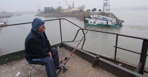 Рибари изхвърлиха улова си пред Никулден заради мазут по Дунава