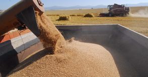 Над един милион тона пшеница от реколта 2015 заминали зад граница