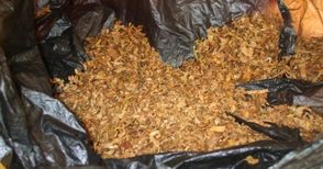 Курник в Смирненски превърнат в склад за контрабанден тютюн