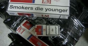 35 стека цигари скрити в шкаф с инструменти в турски ТИР