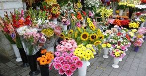 Данъчните запечатаха четири магазинa за цветя на 8 март