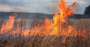 Комисията по земеделие обсъжда изгарянето на стърнищата