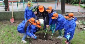 Деца садят дървета за Деня на земята