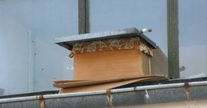 Домоуправител подлуди с рой пчели жилищен вход