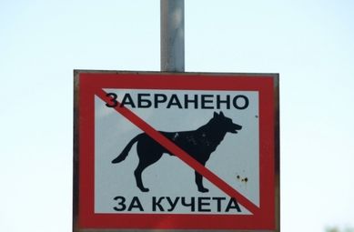 Училища искат табели да забраняват  разходки на кучета в дворовете