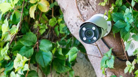 Подвижни камери следят за незаконни сметища в Силистренско