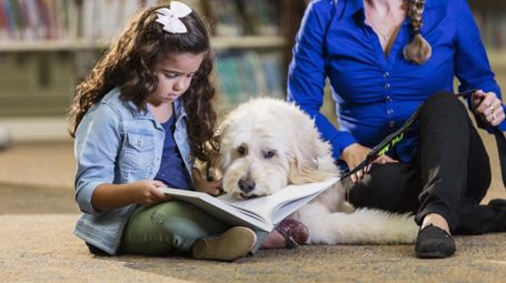 Кучетата помагат на учениците да се справят със стреса
