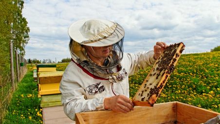 Русенският университет организира курс за биологично и прецизно пчеларство