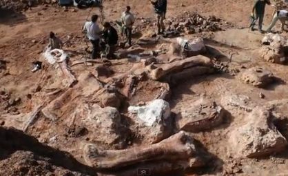 Откриха останки от най-големия динозавър, живял на Земята /видео/