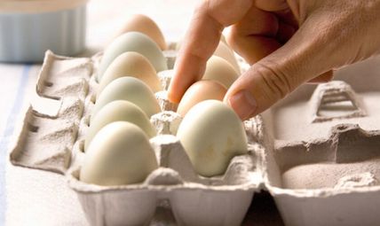 Едно яйце на ден снижава риска от инсулт