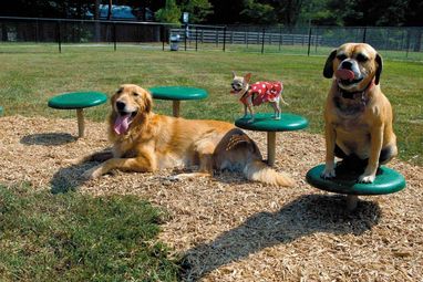 Анкета проучва шест места в Русе за нови паркове за кучета