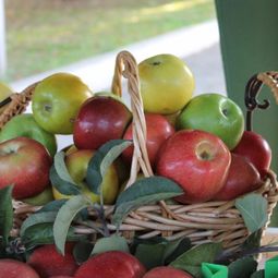 САЩ одобриха генетично модифицирани ябълки