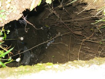 Дълбока 1,5 метра дупка се  отвори зад блок „Виталина“