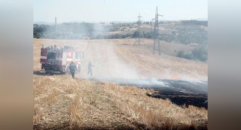 50 дка жито спасени от огън в Новград