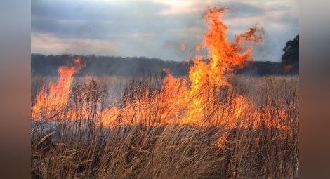До 6000 лева глоба за пожари в ниви и гори