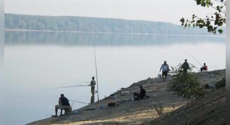 Заради безогледното бракониерство рибата в българския участък на Дунав непрекъснато намалява и въдичарите все по-често остават с празни живарници. 	             	             Снимка: Архив