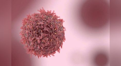 Изследване: Ракът е създаден от човека