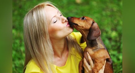 Кучешките целувки по лицето могат да ви убият