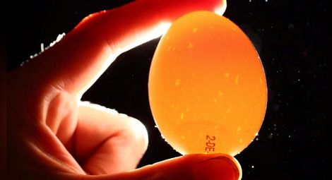 Замърсените яйца - какво е фипронил и колко е опасен
