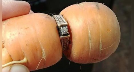 Жена откри загубения си годежен пръстен в… морков