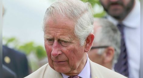 Рейтингът на Принц Чарлз падна преди годишнината от смъртта на Даяна
