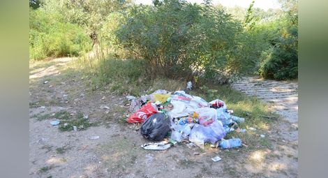 Общината разчиства поредното сметище до брега на Дунав