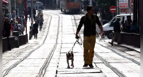 Отбелязваме Световния ден на кучето