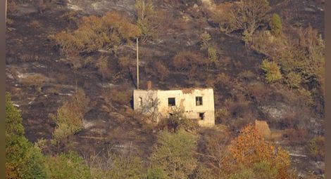 Еко-катастрофа след пожара край Кресна, горял на площ от 15 000 декара