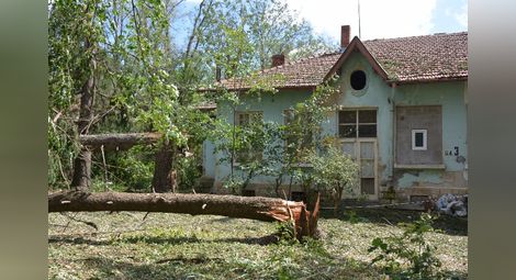 Многогодишни дървета бяха начупени като клечки в Образцов чифлик.                                                   Снимки: Бисер ТОДОРОВ и ОА