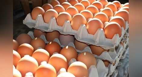 Откриха опасния фипронил и в български яйца, продавали ги в 2 големи вериги в София