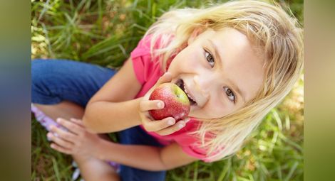 438 фирми доставят плодове, зеленчуци и мляко в училища и детски градини