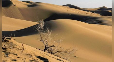 Учени откриха мистериозни каменни структури в саудитската пустиня