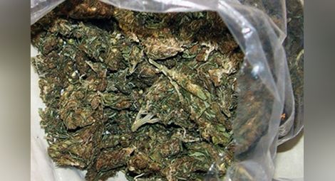 600 грама мирихуана открити при внезапна проверка в дома на дилър