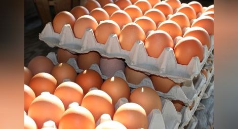 Цените на яйцата постепенно слизат към нормалните нива