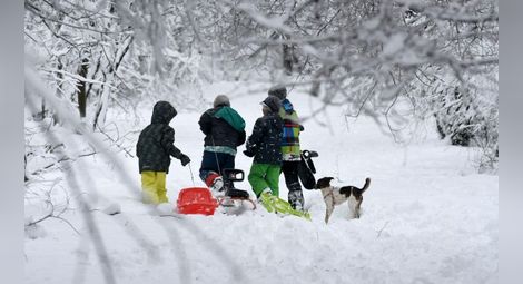 В села и градове: Дървена ваканция заради снега