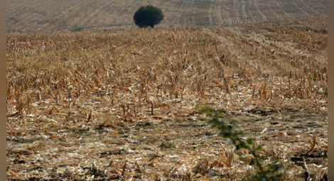 Земеделската земя в България поскъпва почти двойно за 5 г.