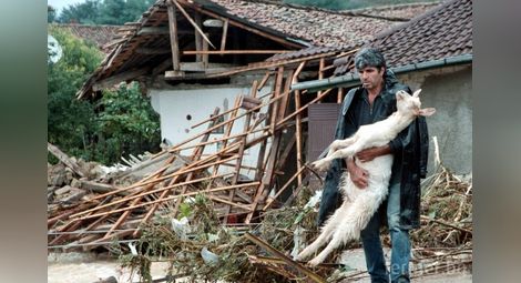 Приемат заявления за унищожени  от бедствия животни и кошери