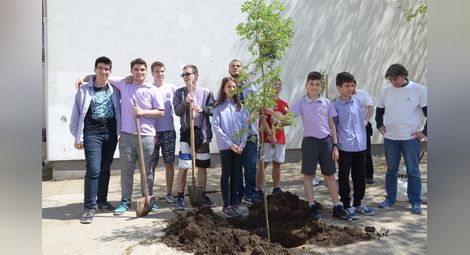 Ученици засадиха две офики в двора на Немското училище