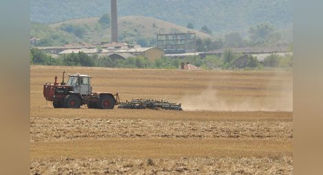 Пазарът на ниви в община Борово се  консолидира около 1000 лева за декар