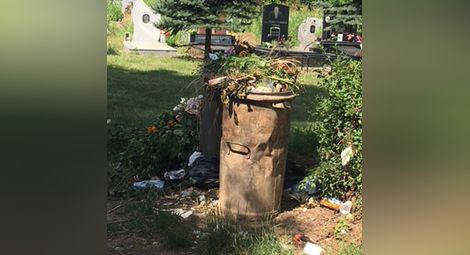Съветник пита кой почиства гробищния парк „Чародейка“