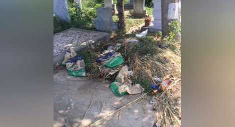 Михаил Павлов: Граждани правят камари с боклук в гробище „Чародейка“