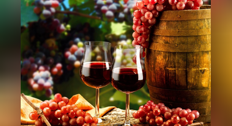 Гимназисти от Чифлика ще се учат на винарство в слънчева Сарагоса