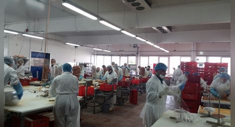 „Свиневъдно сдружение“ преоборудва  месодобивно предприятие в Иваново