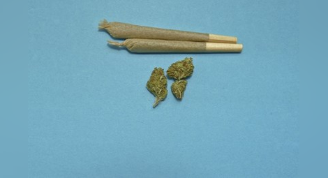Грузия легализира марихуаната за лична употреба