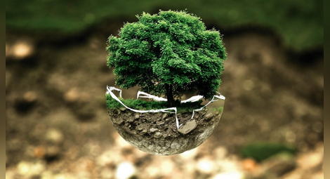 След 1 август човечеството ще живее в „екологичен дълг“