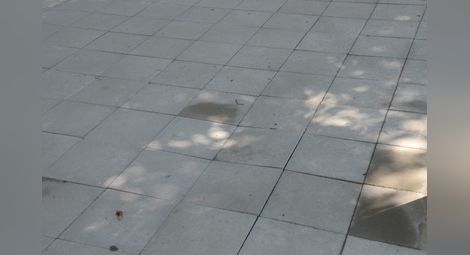 Новите плочки по тротоара на „Борисова“ започват да пропадат