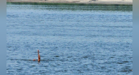 Драма в Дунав! Братовчеди удавиха момче – учили го да плува!