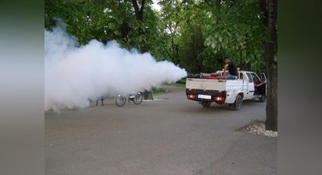 Пръскането срещу комари по поречието на Дунав стартира в петък от Козлодуй