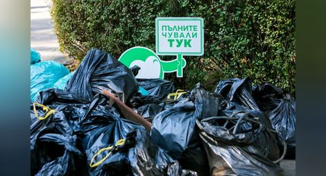 Над 114 тона боклук събрани за ден от 17 875 доброволци в Русенско