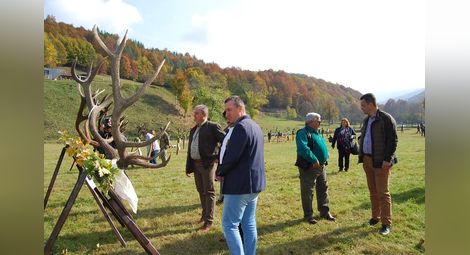 Рога на 14-годишен елен представи  на изложение ловно стопанство „Дунав“